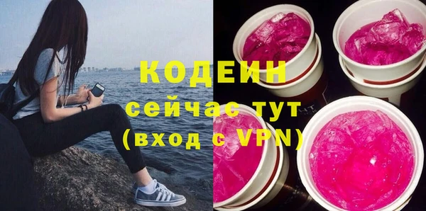 2c-b Бородино