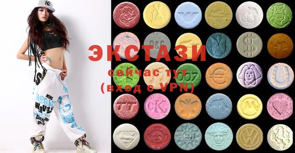 ECSTASY Богородск