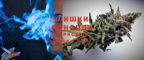 тгк Бронницы