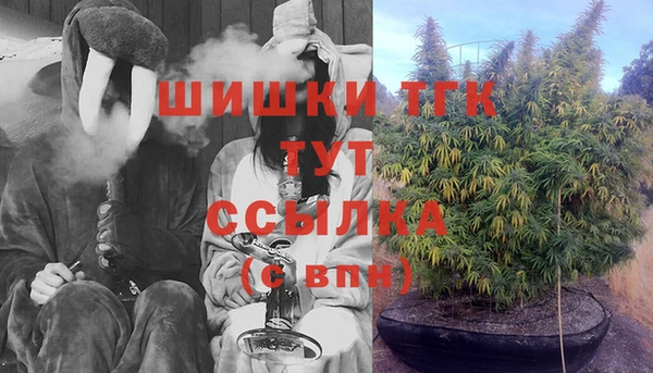 ECSTASY Богородск