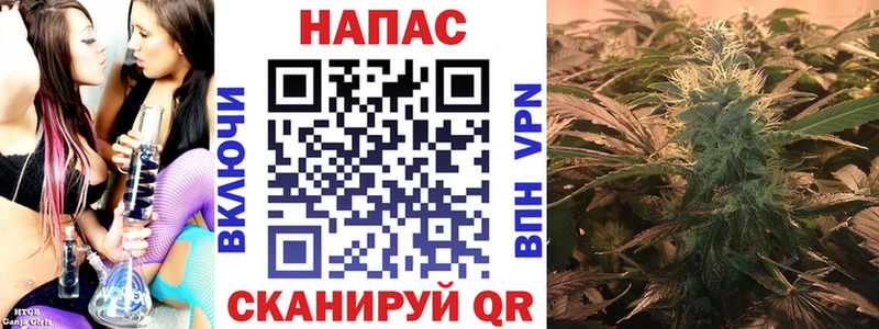 это официальный сайт Минеральные Воды Каннабис гибрид